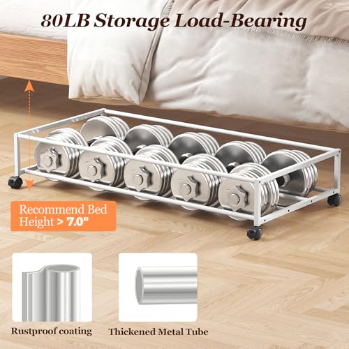 Large Rolling Under-Bed Storage Bin with Clear Lid & Metal Frame